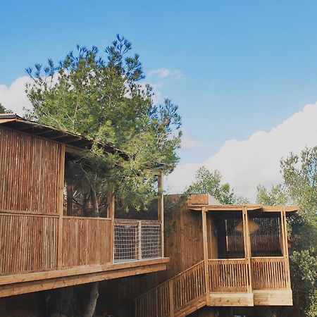 קאלביסון Villa Occitana מראה חיצוני תמונה