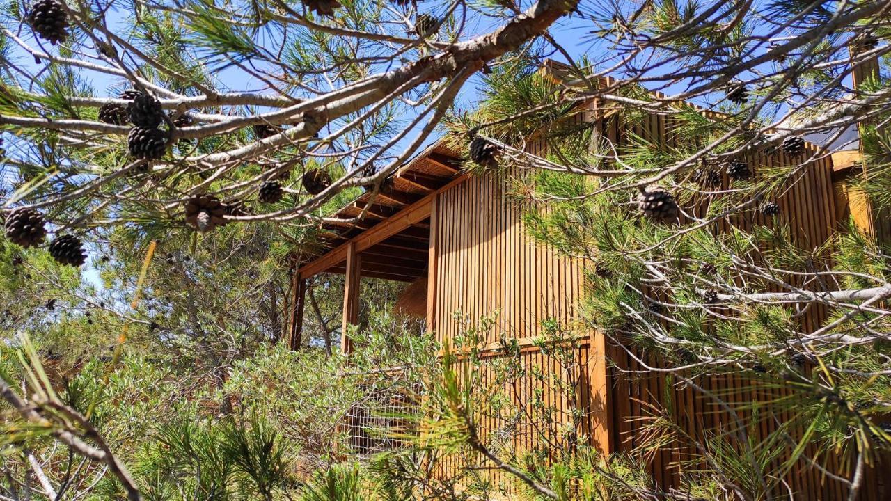 קאלביסון Villa Occitana מראה חיצוני תמונה